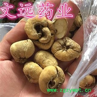 浙贝母 贝母 无硫 浙贝母 产地 浙江省金华市市辖区图3