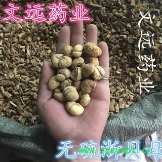 浙贝母 贝母 无硫 浙贝母 产地 浙江省金华市市辖区图2