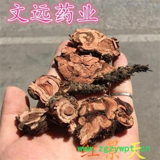 红景天 大统片 产地 西藏自治区昌都地区图2