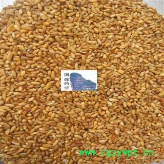 柏子仁 柏子仁 新货 好统货 颜色好 国峰药业 重在品质 产地 山东省图2