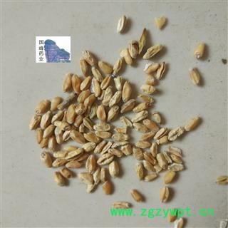 浮小麦 浮小麦净货 国峰药业 重在品质 产地 河北省图2