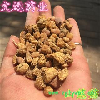 山慈菇 好统装 产地 云南省图3