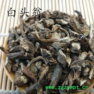 白头翁 统装 产地 黑龙江省图2