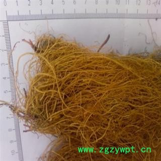 细辛 辽细辛 水洗细辛 产地 辽宁省抚顺市市辖区图2