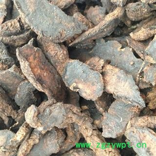 生地黄 统 产地 河南省图3