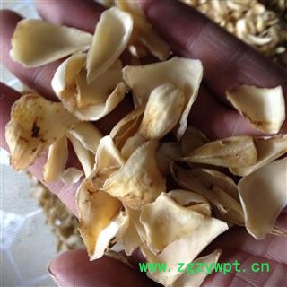 百合 大片 产地 湖南省图3