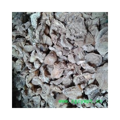 扁白芨 统个 产地 云南省