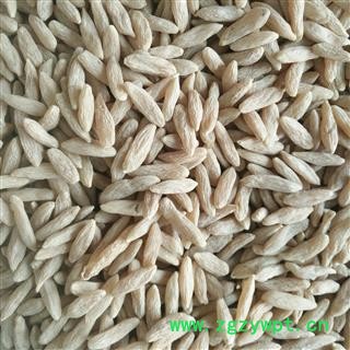 川麦冬 精选  产地 四川省绵阳市三台县图3