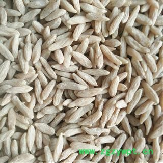 川麦冬 精选  产地 四川省绵阳市三台县图2