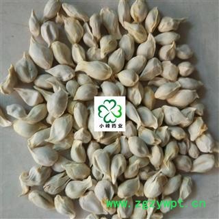 橘核 桔核 正品地道 选 新货 颜色好 纯干 无虫蛀 产地 浙江省图2
