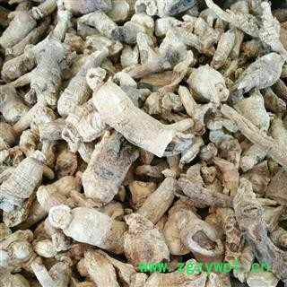 西洋参 有损西洋参 产地 吉林省图2