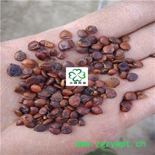 枣仁 炒枣仁 产地 海外图2