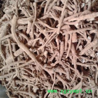 三七 三七筋条 产地 云南省图2