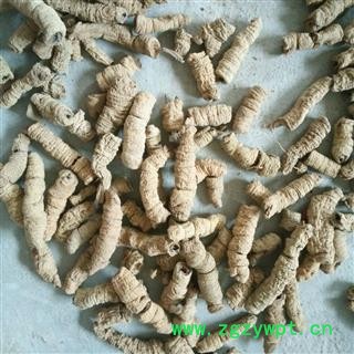 巴戟天 一级选个 500g/袋 产地 广东省图2