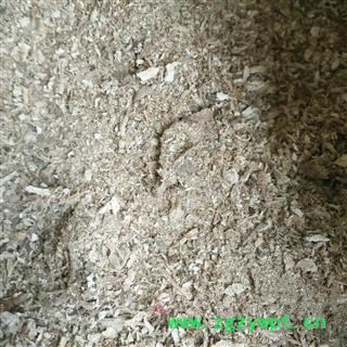 葛根 粉葛根 0.2筛子以下葛根粉 无硫磺  产地 广西壮族自治区图2