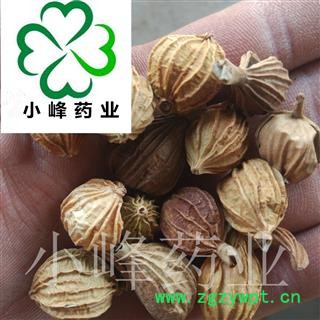 香砂 香砂 选货 颜色好 纯干 小峰药业 重在品质 产地 广西壮族自治区图2