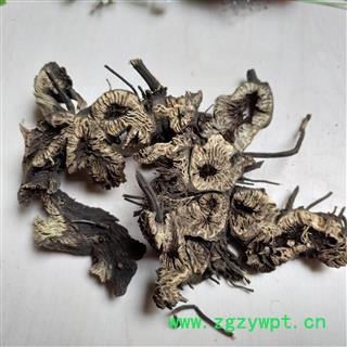 升麻 统货 产地 吉林省图2