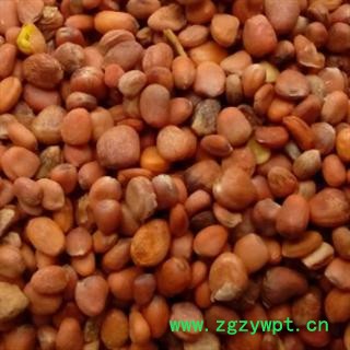 莱菔子 莱菔子选货 无杂质 过风 今年新货 无虫蛀无霉变  产地 云南省昭通市市辖区图3