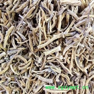 秦艽 新疆野生秦艽 产地 新疆维吾尔自治区图2