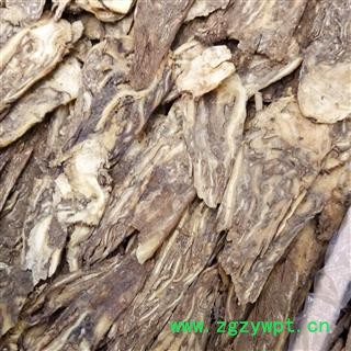 当归 当归压片 产地 甘肃省图2