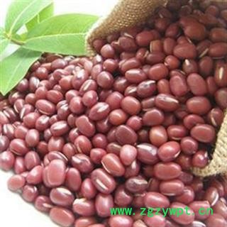 赤小豆 赤豆（红小豆）选货 过风车 产地 山西省大同市图2