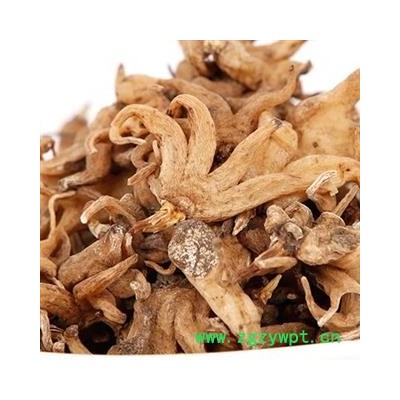 手掌参 手掌参选货 产地 辽宁省 凯捷中药