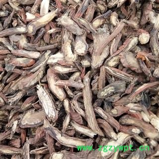 丹参 山东丹参 斜切片 选片 产地 山东省图2