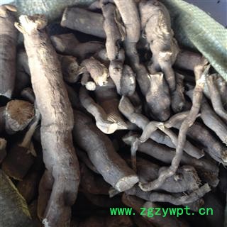 雪里开 地雷 拐子药 蛇松子 统个 产地 安徽省图2