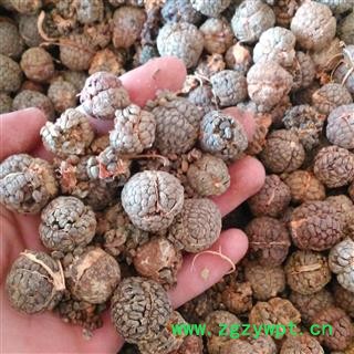 草豆蔻 草豆蔻选货大个 产地 云南省图2