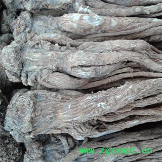 当归 箱装精品个 产地 甘肃省定西市陇西县图3