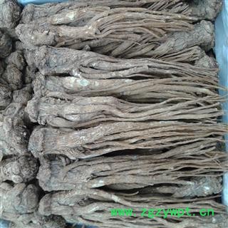 当归 箱装精品个 产地 甘肃省定西市陇西县图2