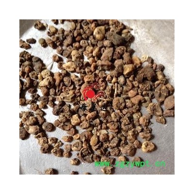 凯捷中药 毛慈菇 冰球子 山慈菇 云南统 产地 云南省