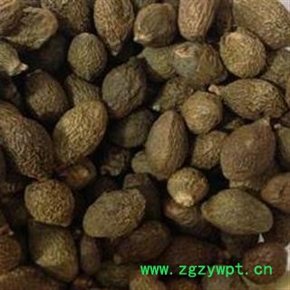 胖大海 药厂投料，打粉 产地 海外图2