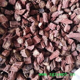 丹参 山东丹参选货0.6筛以上 产地 山东省图3