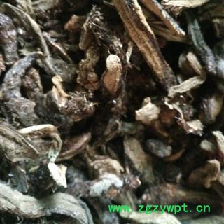 骨碎补 统货 产地 贵州省图2