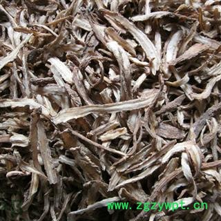 当归 当归股子片 产地 甘肃省图2