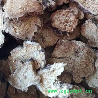 苍术 北苍术 内蒙种植苍术 产地 内蒙古自治区图2