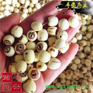 平安药业 白莲子 别称 连子 藕实 水芝丹 莲实 莲蓬子 莲肉图2