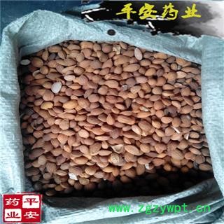 平安药业 桃仁 正品 促销图2