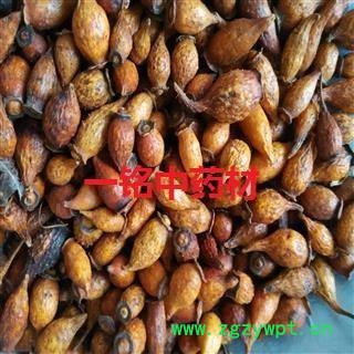 金樱子 金樱子后期统货 产地 江西省图2