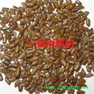 决明子 国产决明子选货 产地 山东省图3