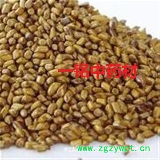 决明子 国产决明子选货 产地 山东省图2