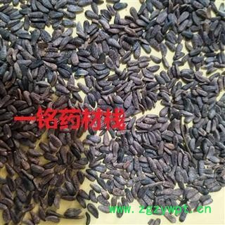 牛蒡子 牛蒡子净货 大力子产地 四川省图3