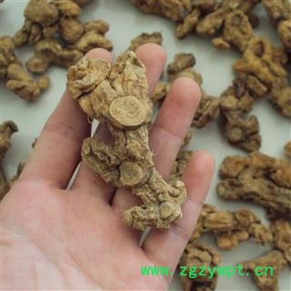 黄精 姜形黄精一般统个 产地 云南省图2