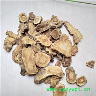 前胡 信前胡 选片 产地 浙江省图2