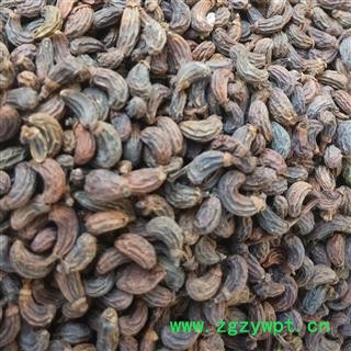 女贞子 女贞子腰果净货 产地 浙江省杭州市市辖区图2