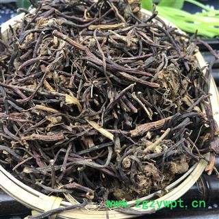 紫菀 紫菀个 产地 安徽省图2