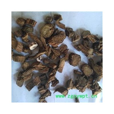 川断 川续断 川断大选货 产地 四川省