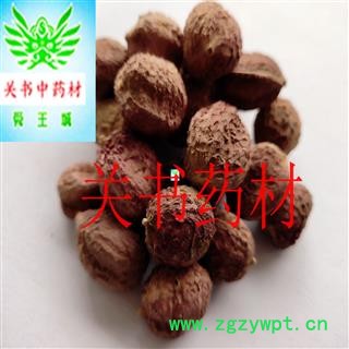 砂仁 阳春壳砂仁晒干大统货 产地 广东省江门市市辖区图3