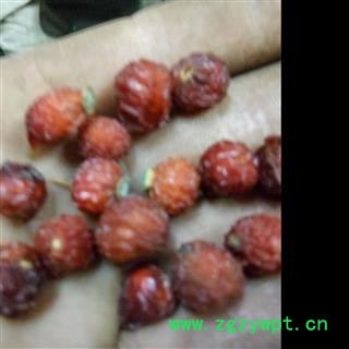 南山楂 正品 猴楂子 酸枣 大山枣 产地 湖南省湘潭市图2